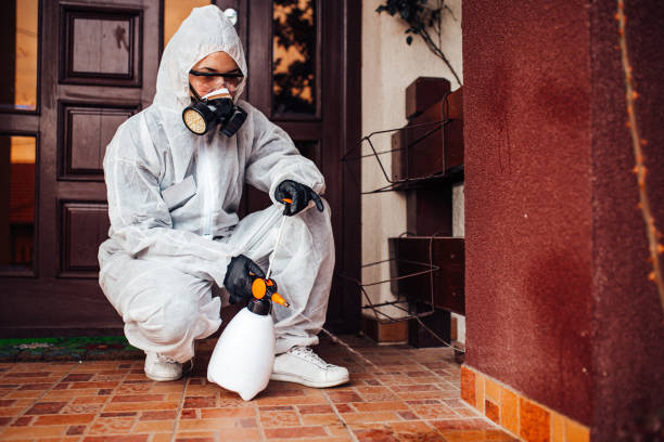 Reliable Fumigation Services contractor in Taos, MO by Nex Pest Control